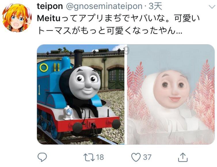 无尾猫真的太可爱了,虽然是猫,但是却长着“兔子尾巴”